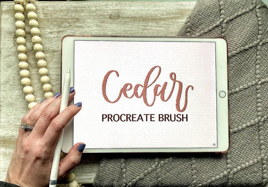 Cedar Procreate Calligraphy Brush | Instant Download