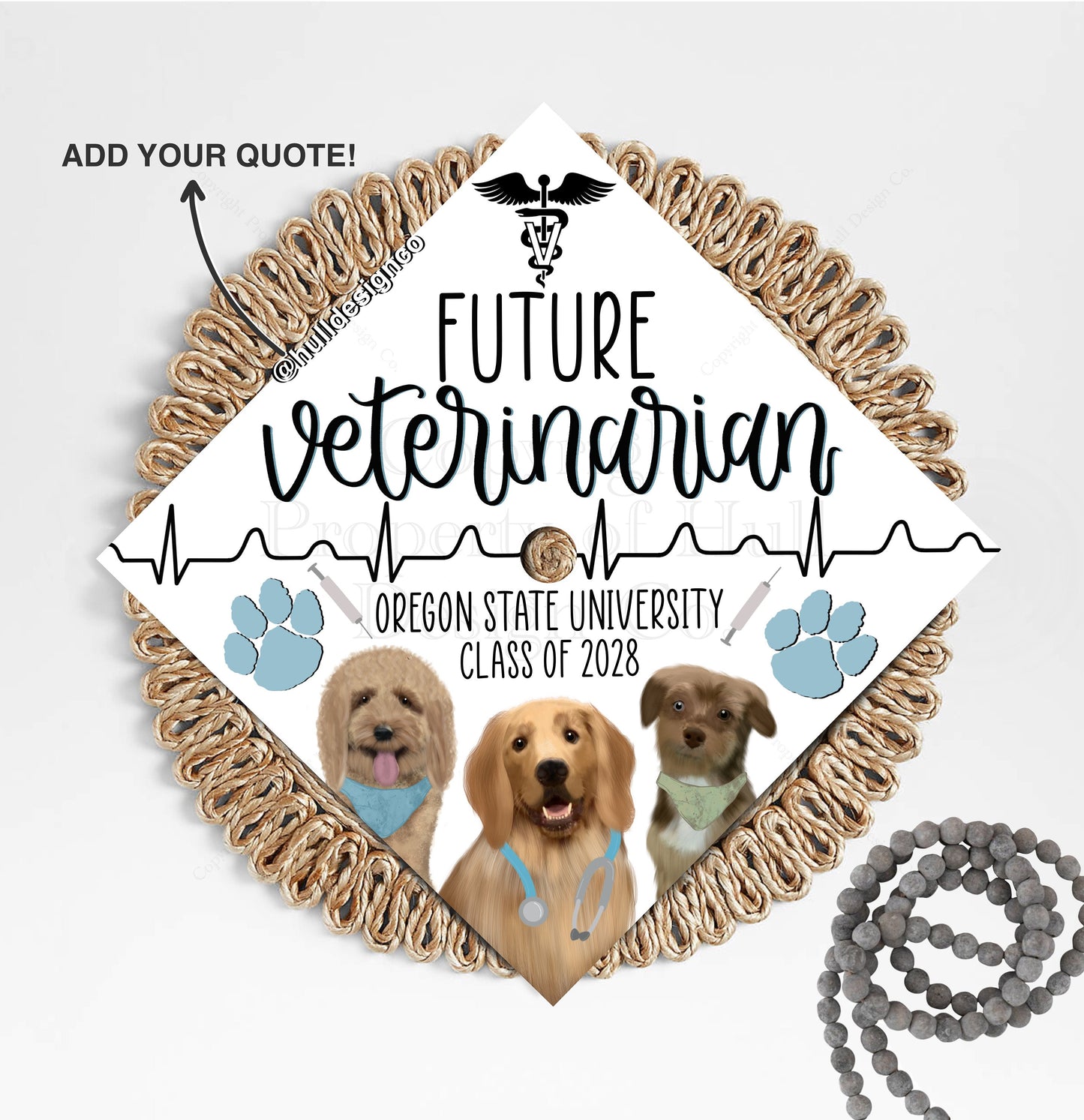 Custom "Vet School Bound" Graduation Cap Topper